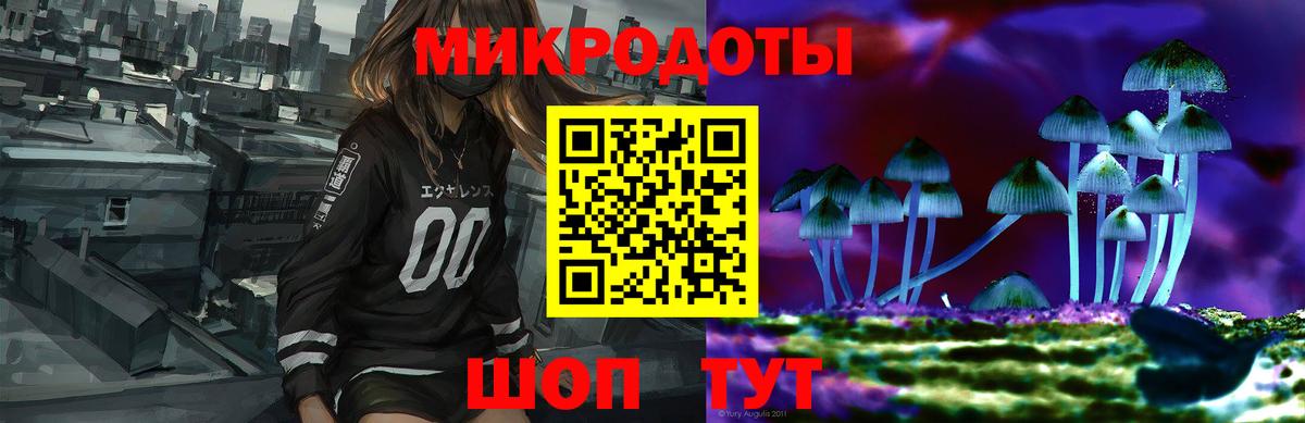 Галлюциногенные грибы мухоморы Ленинск-Кузнецкий