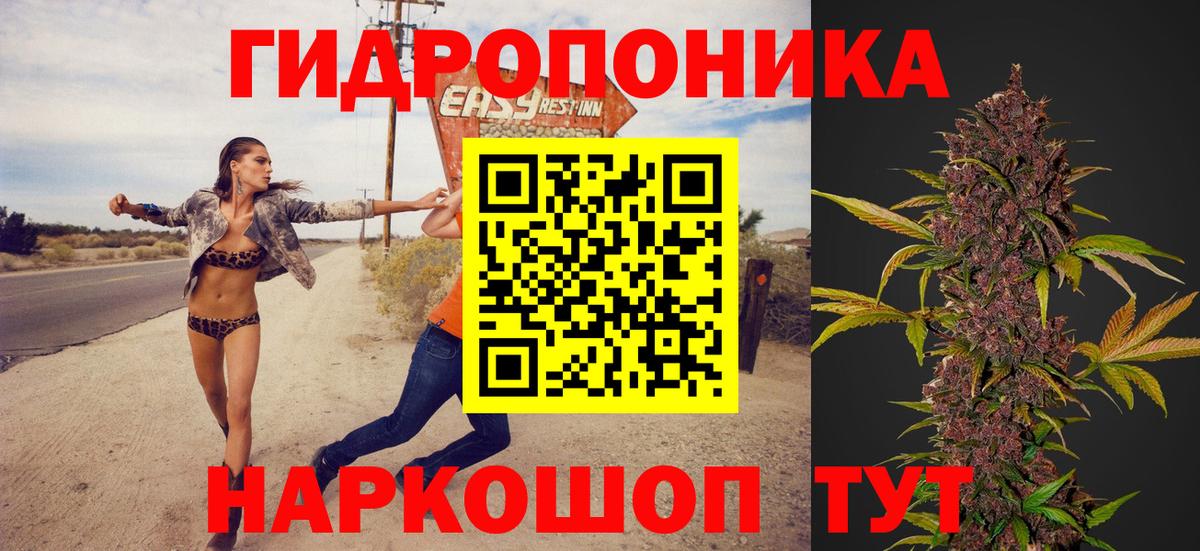Бошки марихуана Amnesia  Вход с VPN  МАРИХУАНА OG Kush  Ленинск-Кузнецкий 